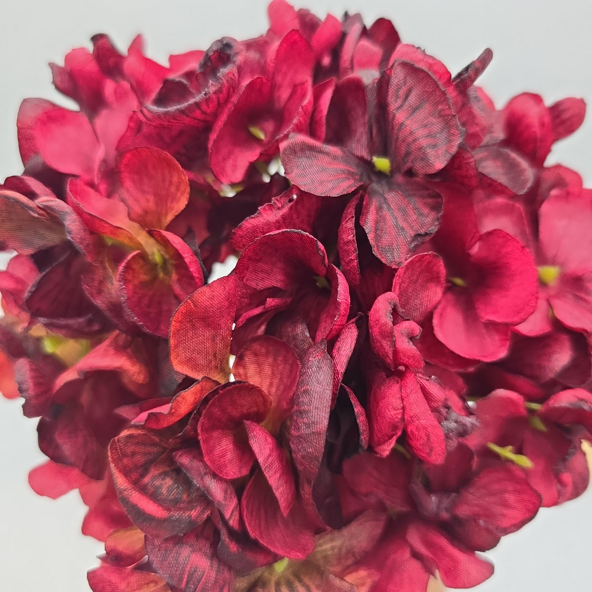 23&quot;HYDRANGEA-#fsh708