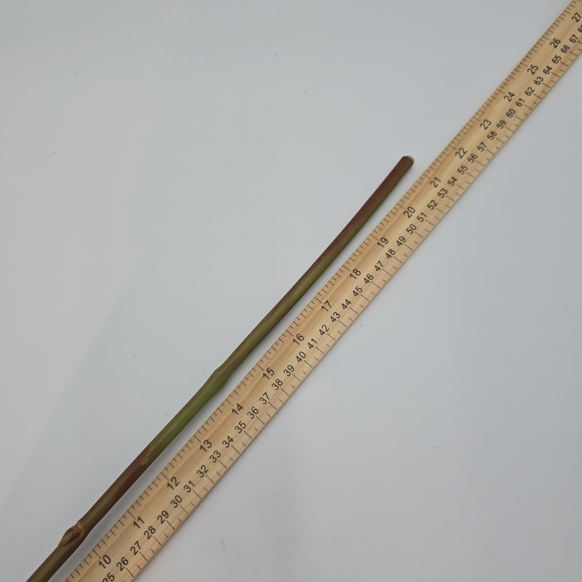 23&quot;HYDRANGEA-#fsh708