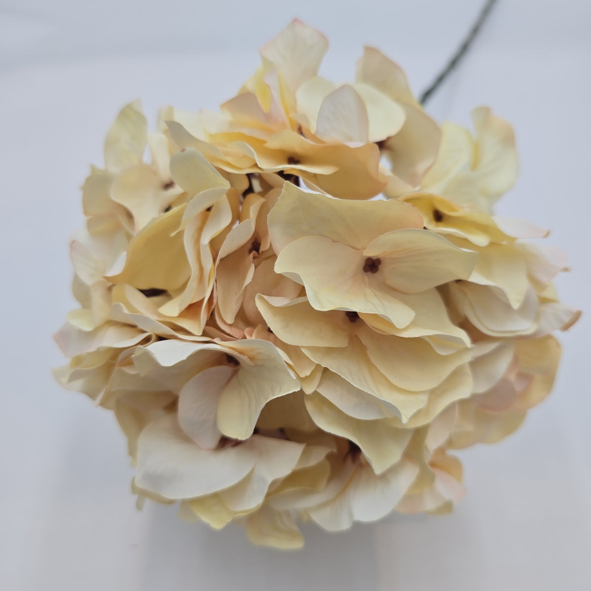 30&quot; Hydrangea -- #fsh990