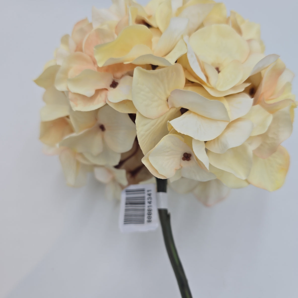 30&quot; Hydrangea -- #fsh990