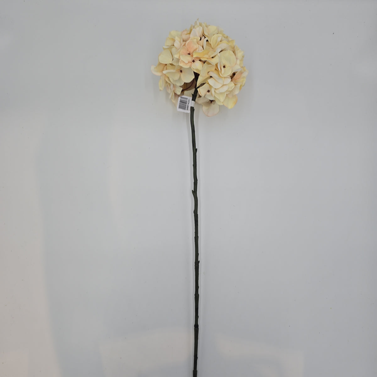 30&quot; Hydrangea -- #fsh990