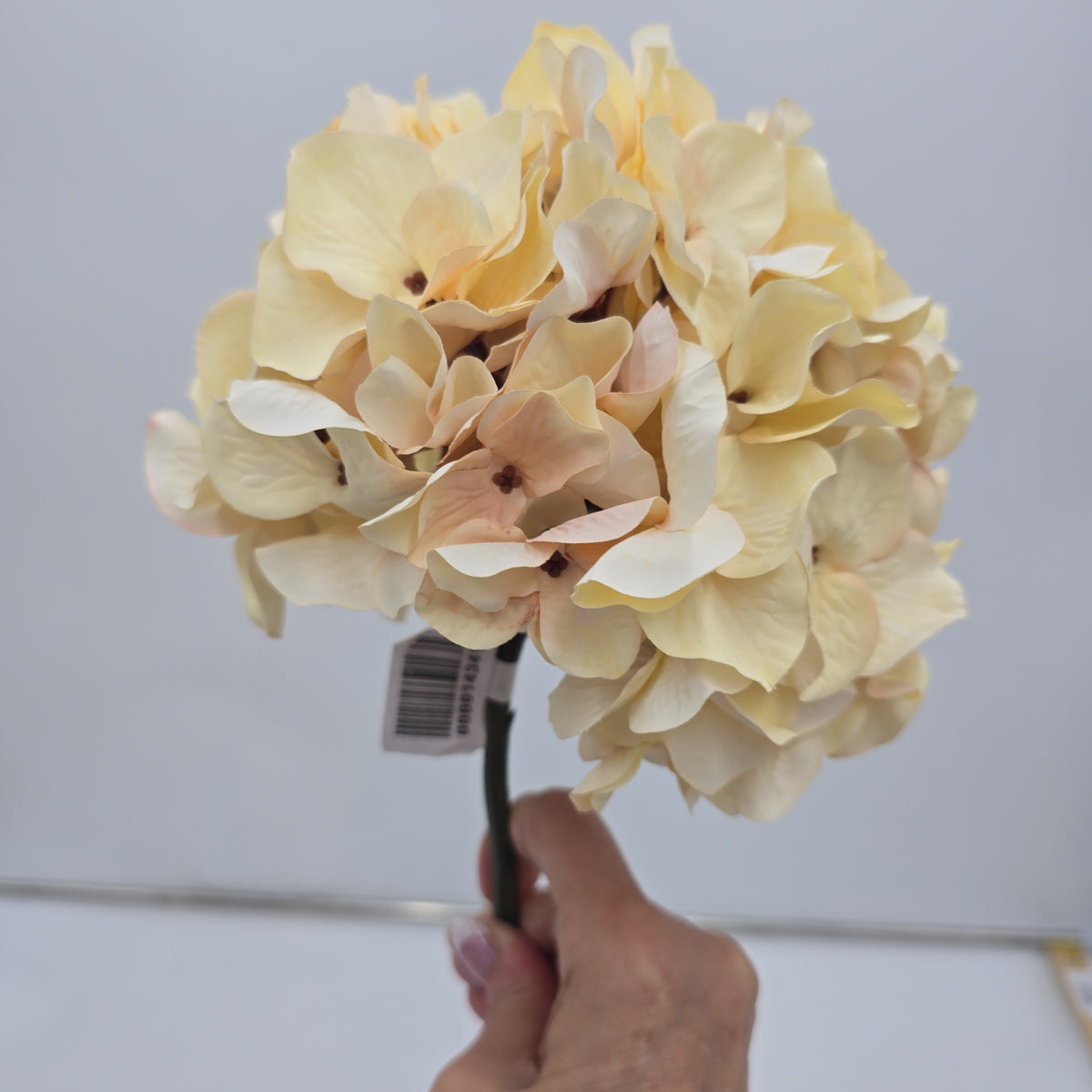 30&quot; Hydrangea -- #fsh990