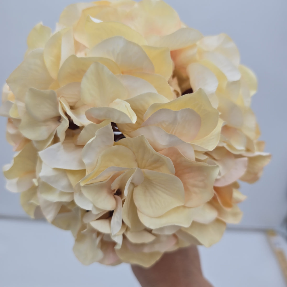 30&quot; Hydrangea -- #fsh990