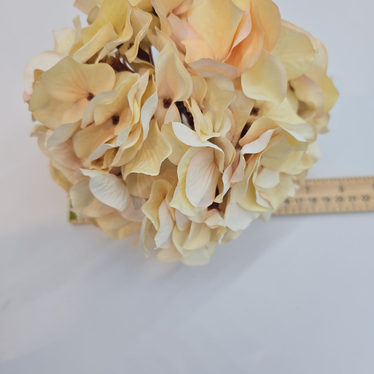 30&quot; Hydrangea -- #fsh990