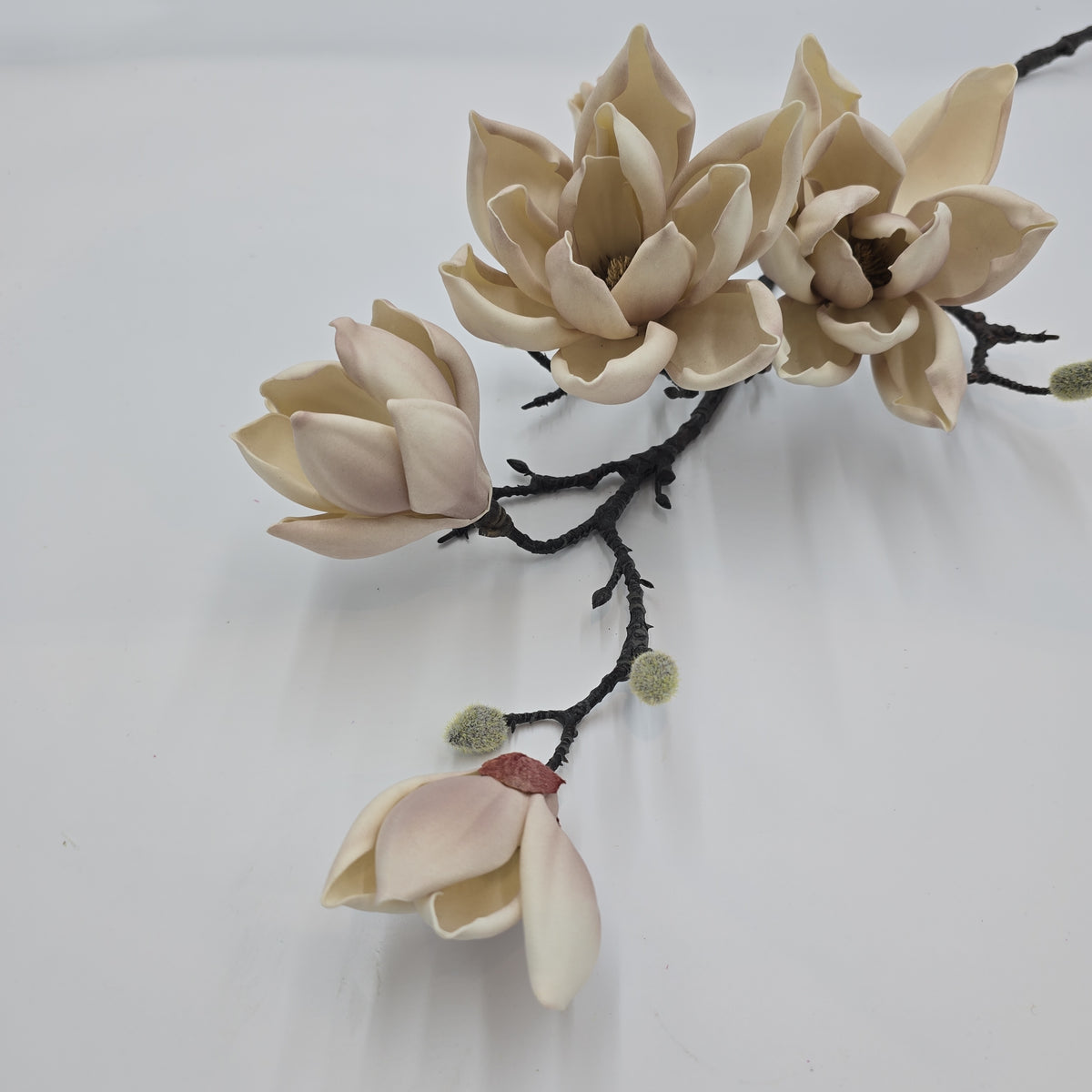 39&quot; Magnolia--#fsm224