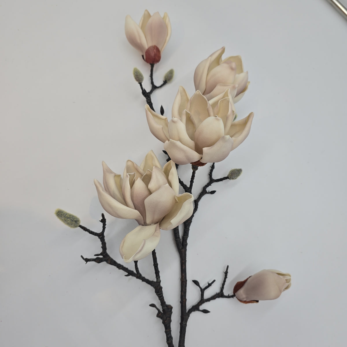 39&quot; Magnolia--#fsm224
