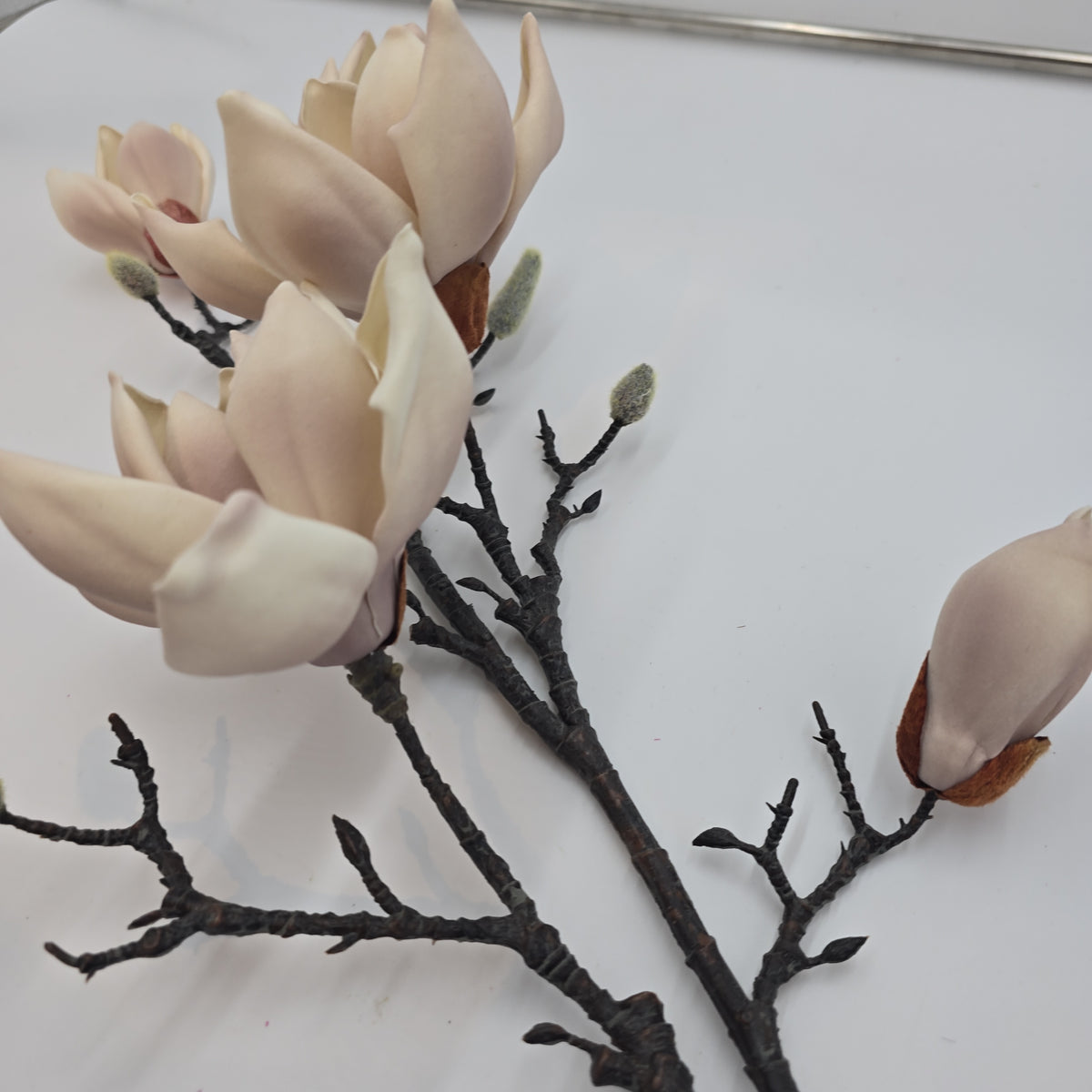 39&quot; Magnolia--#fsm224