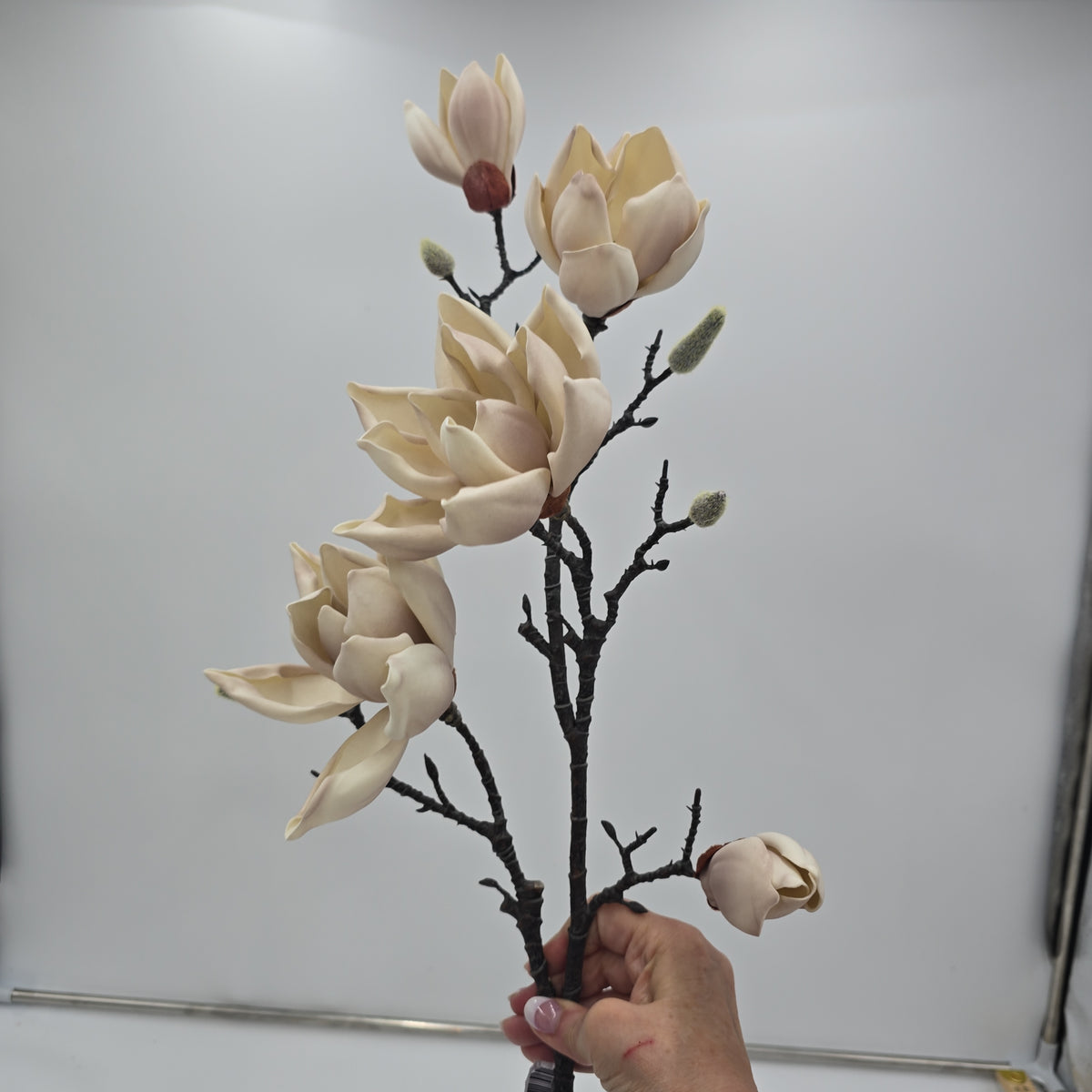 39&quot; Magnolia--#fsm224