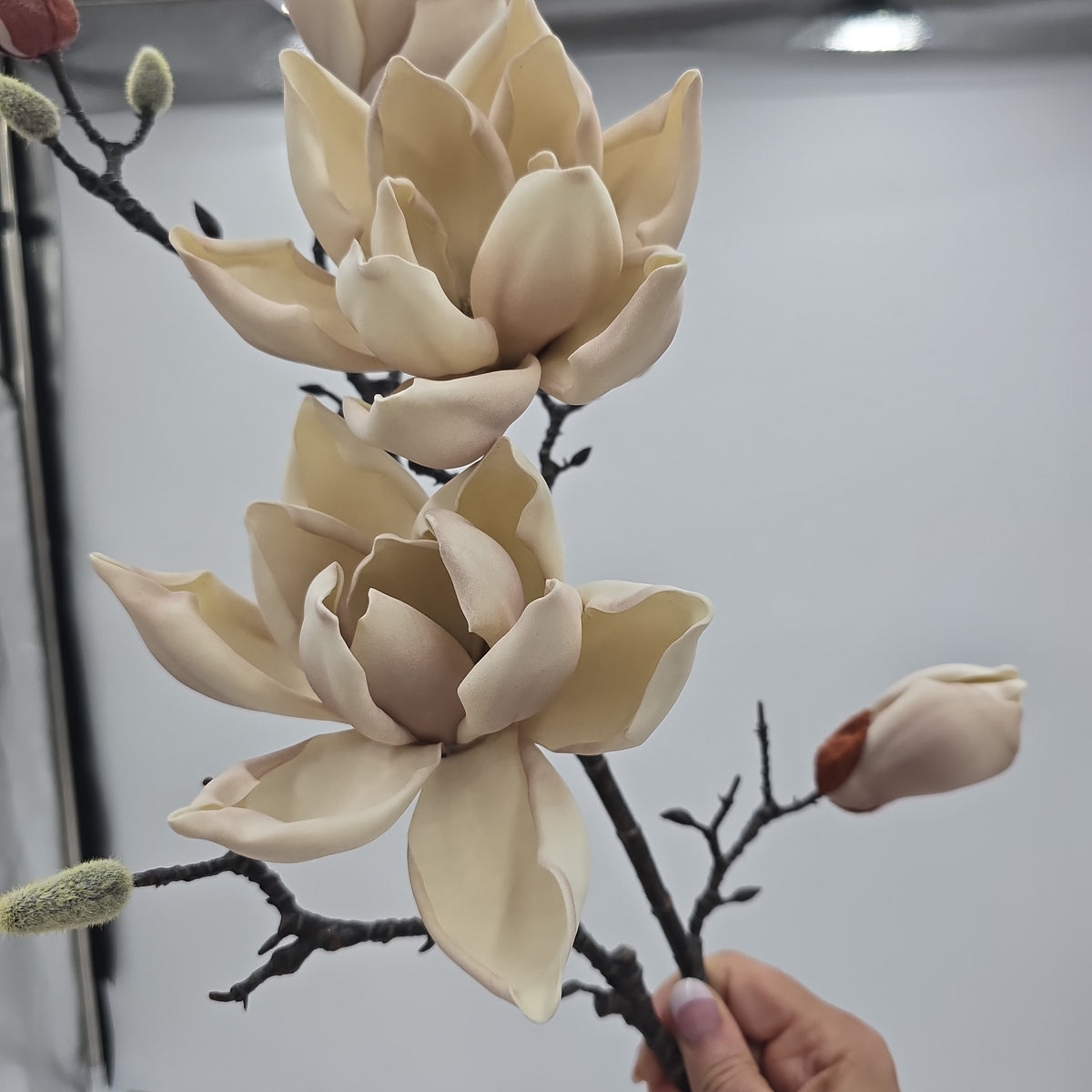 39&quot; Magnolia--#fsm224
