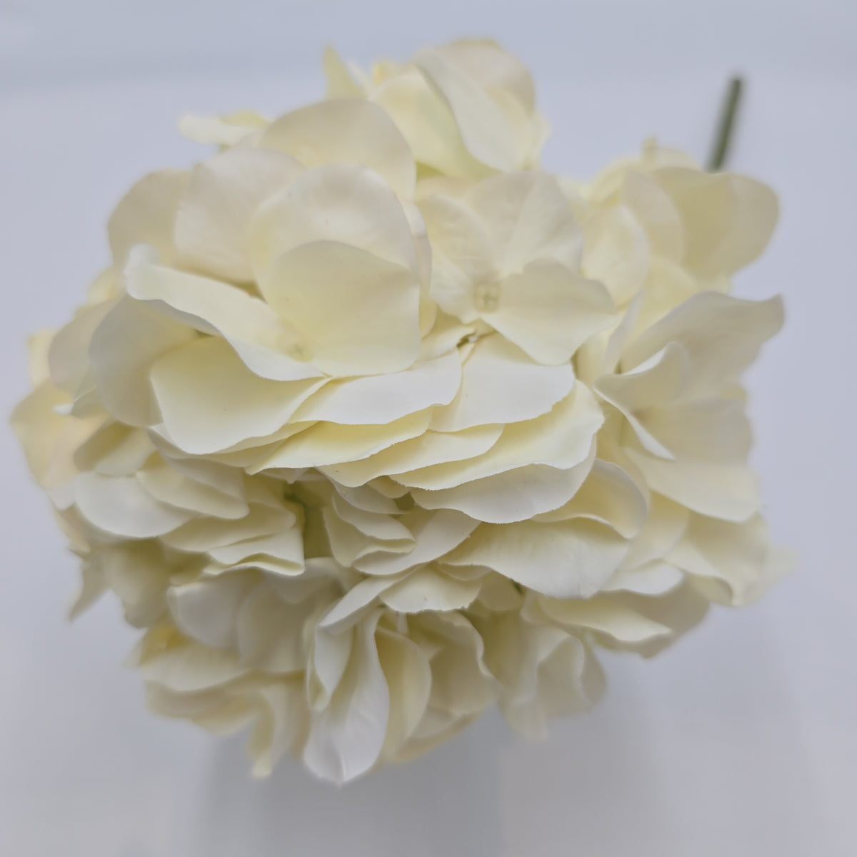 21&quot;HYDRANGEA--fsh394