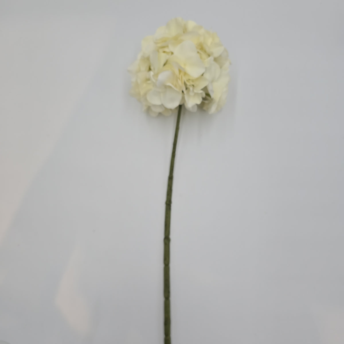 21&quot;HYDRANGEA--fsh394