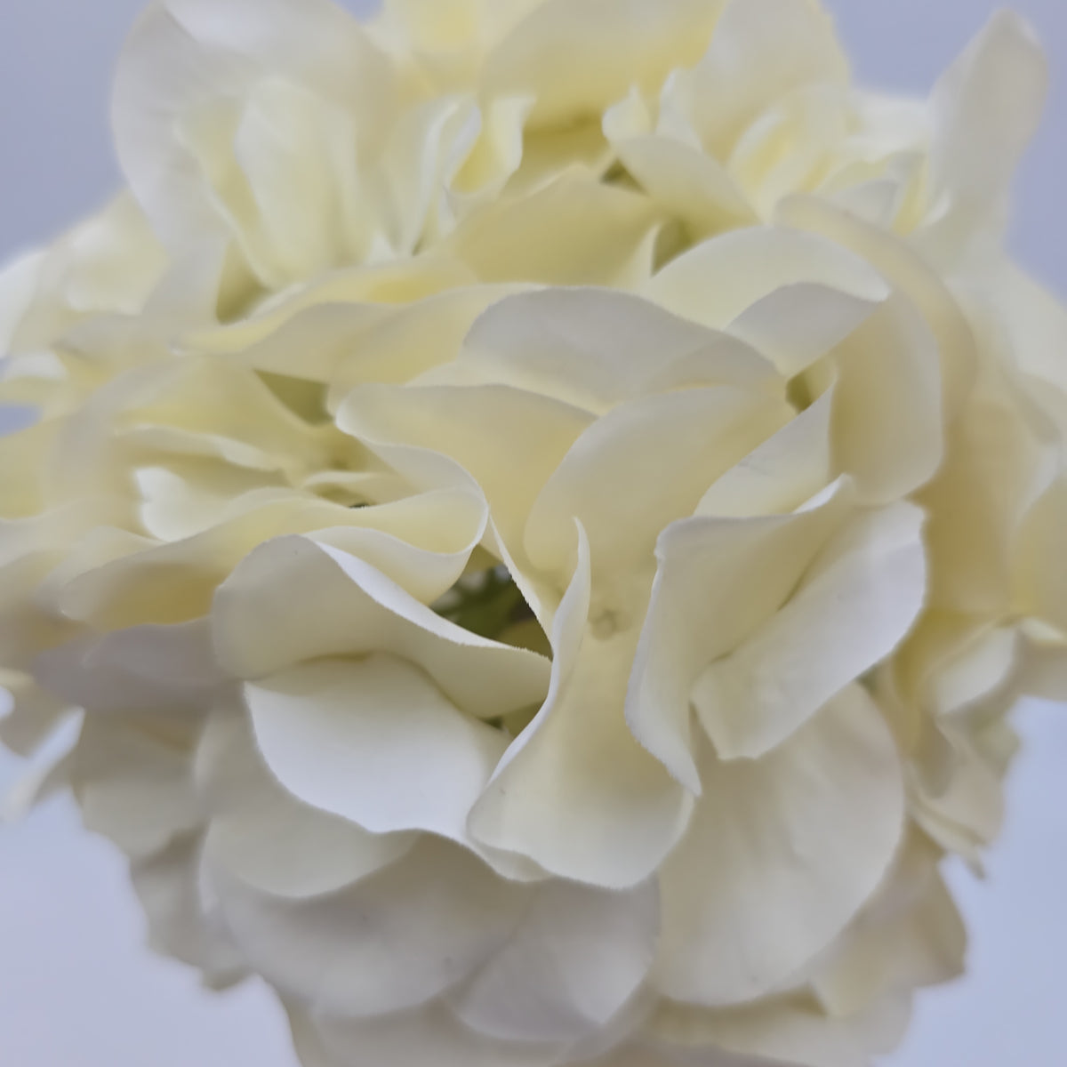 21&quot;HYDRANGEA--fsh394