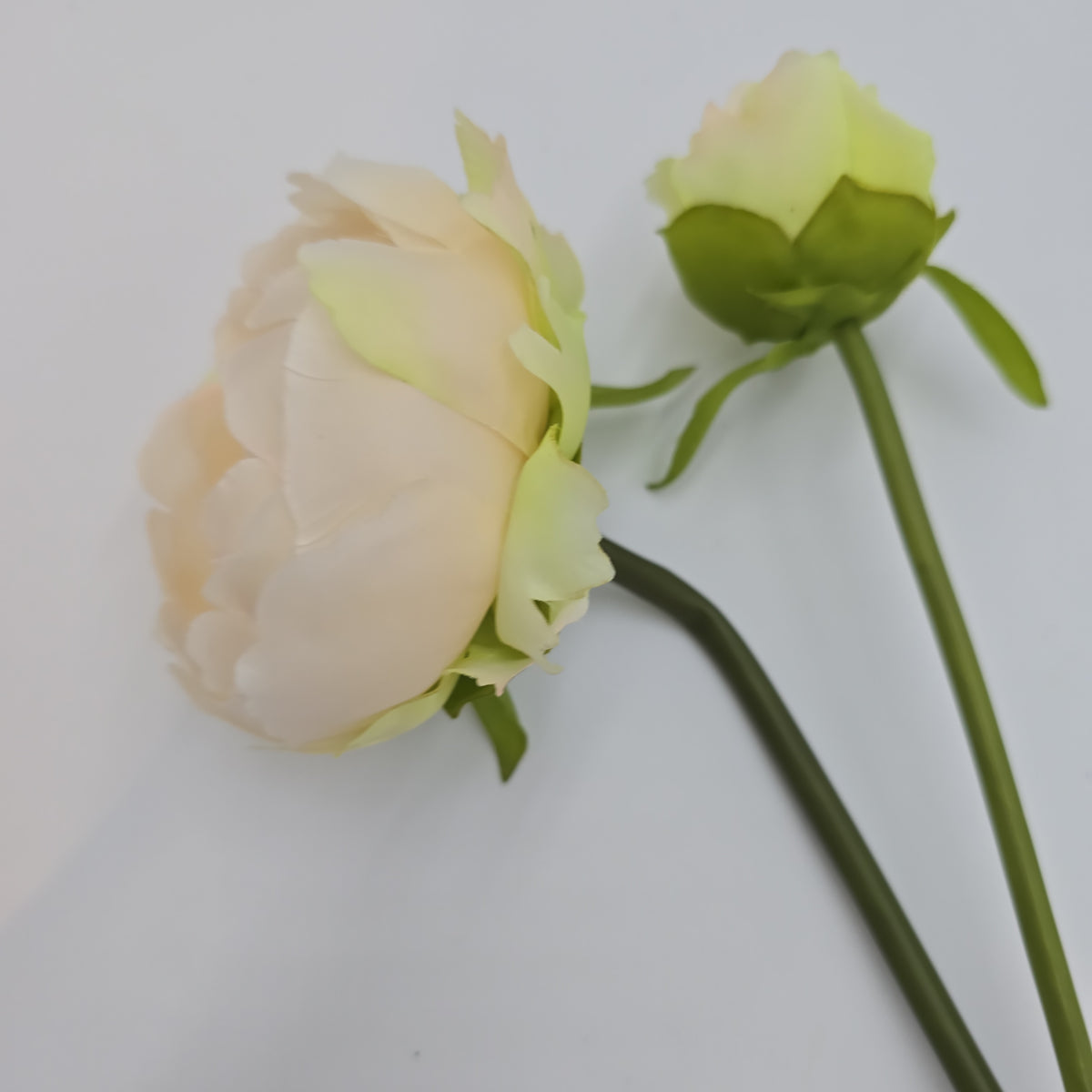 19&quot;PEONY--fsp194-pk/so