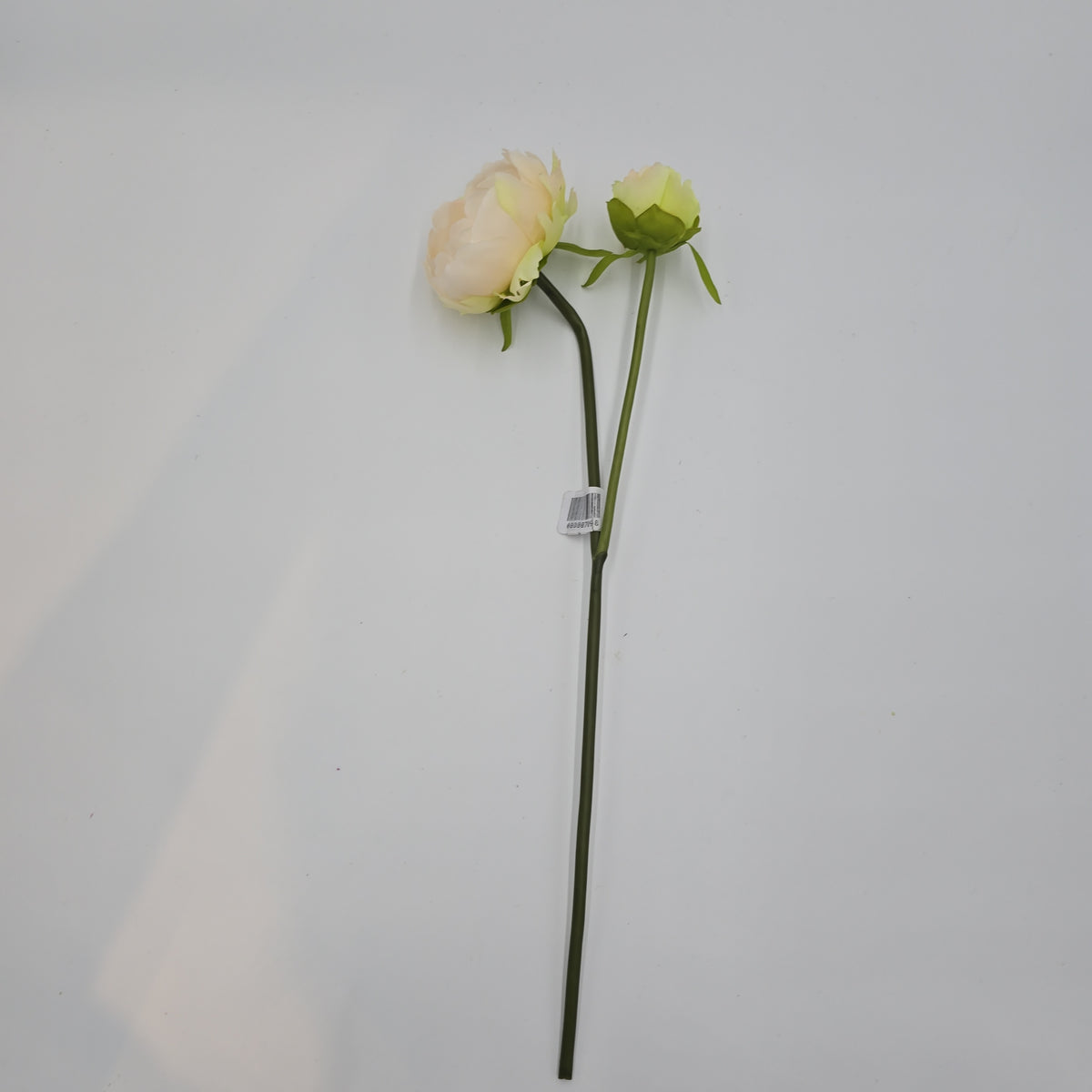 19&quot;PEONY--fsp194-pk/so