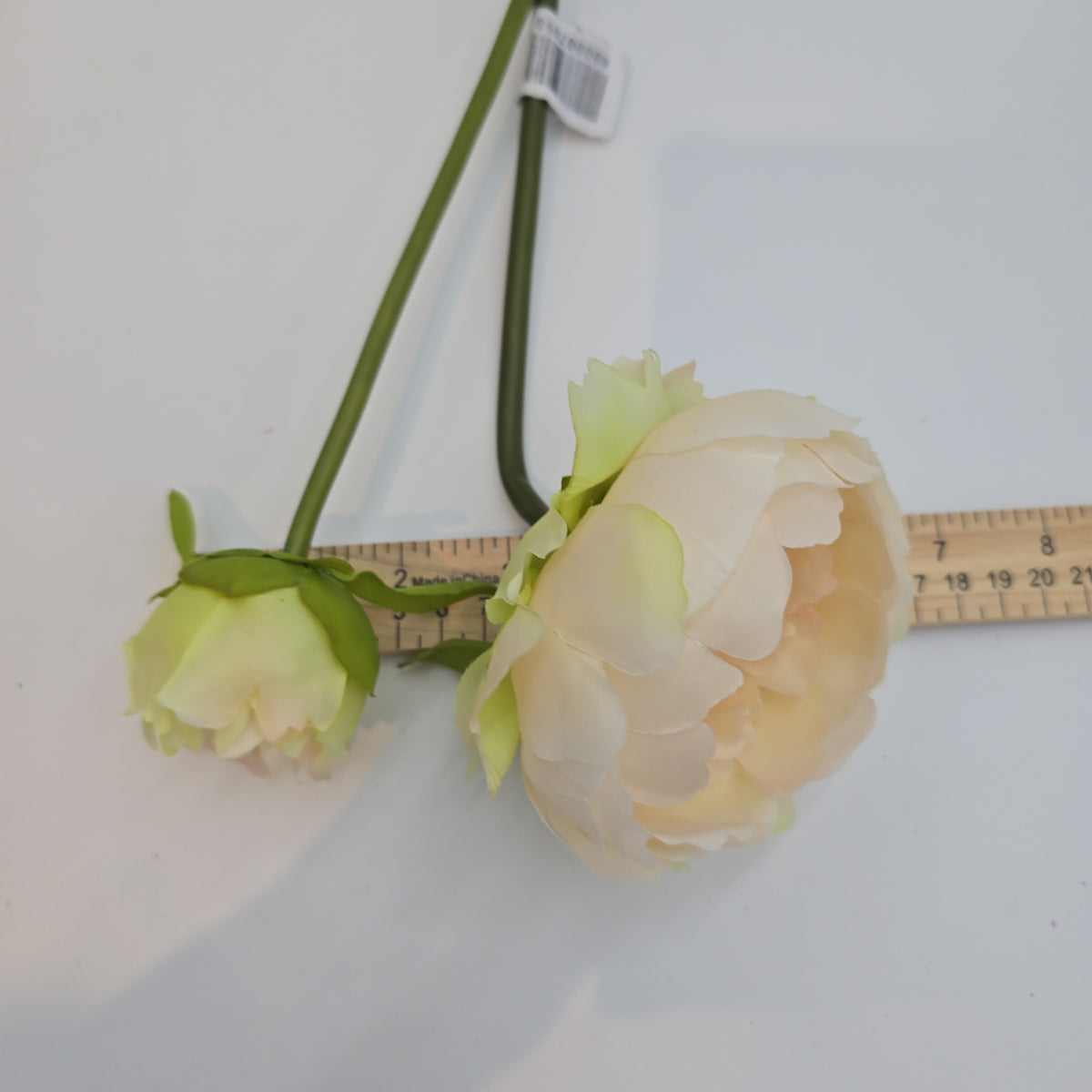 19&quot;PEONY--fsp194-pk/so