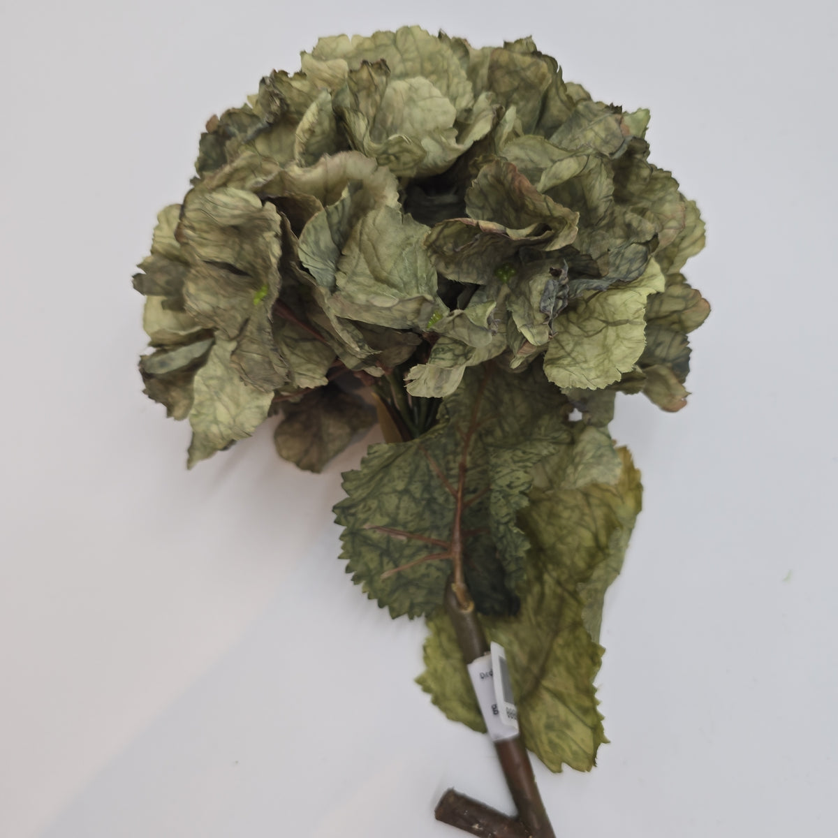 Dried Lk Hydrangea #fsh152