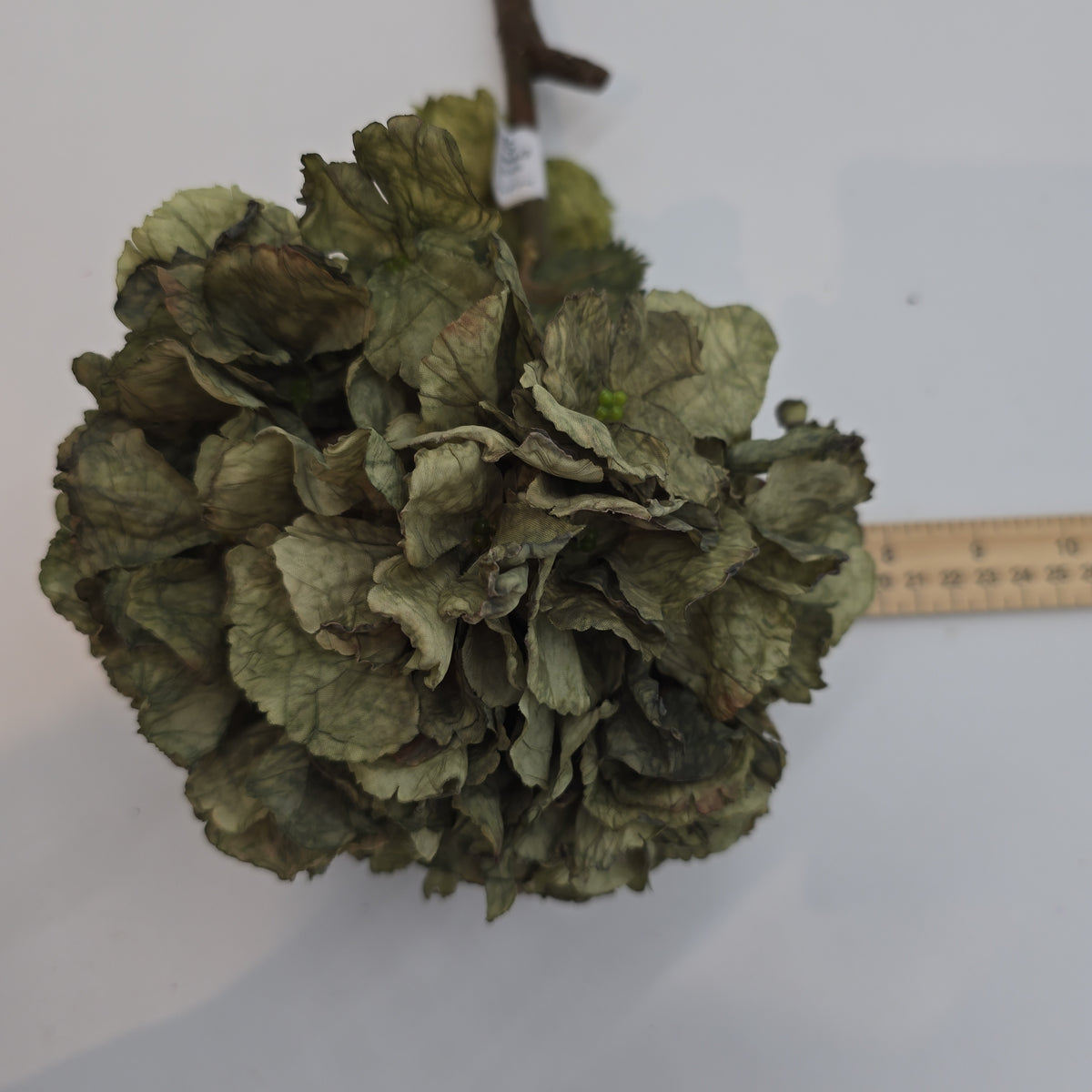 Dried Lk Hydrangea #fsh152