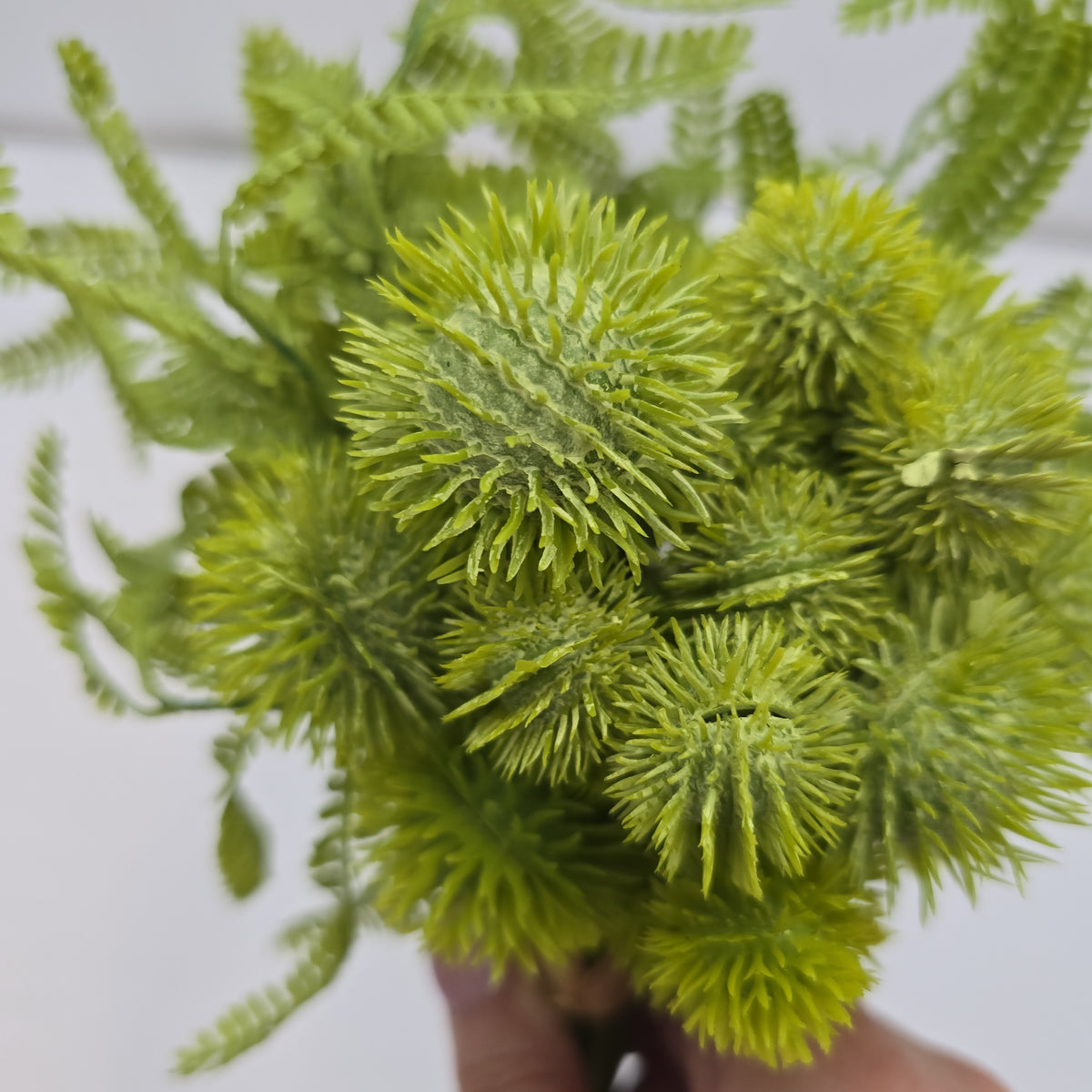 12&quot;THISTLE--fst495