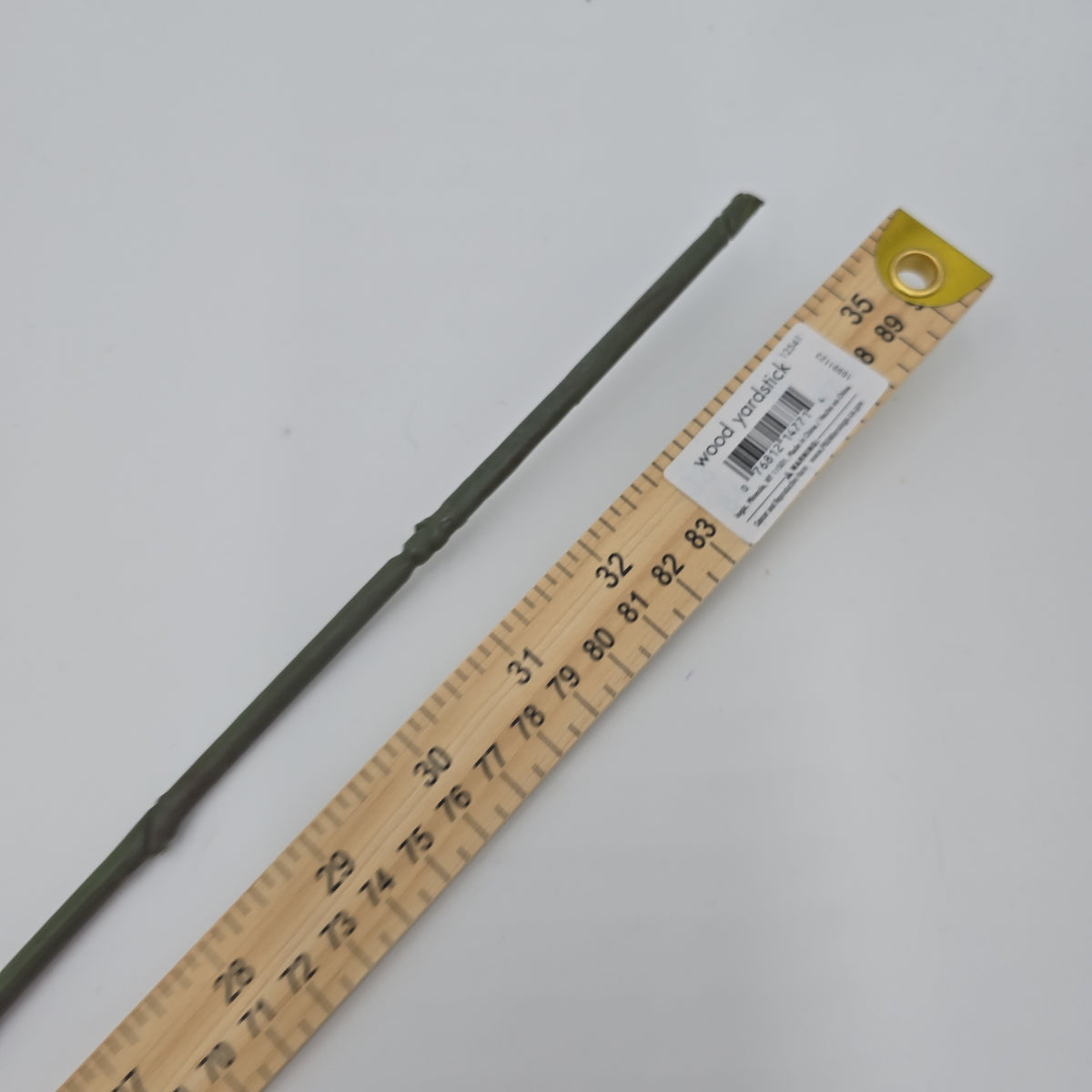 35&quot; Eucalyptus Lf--#pse341