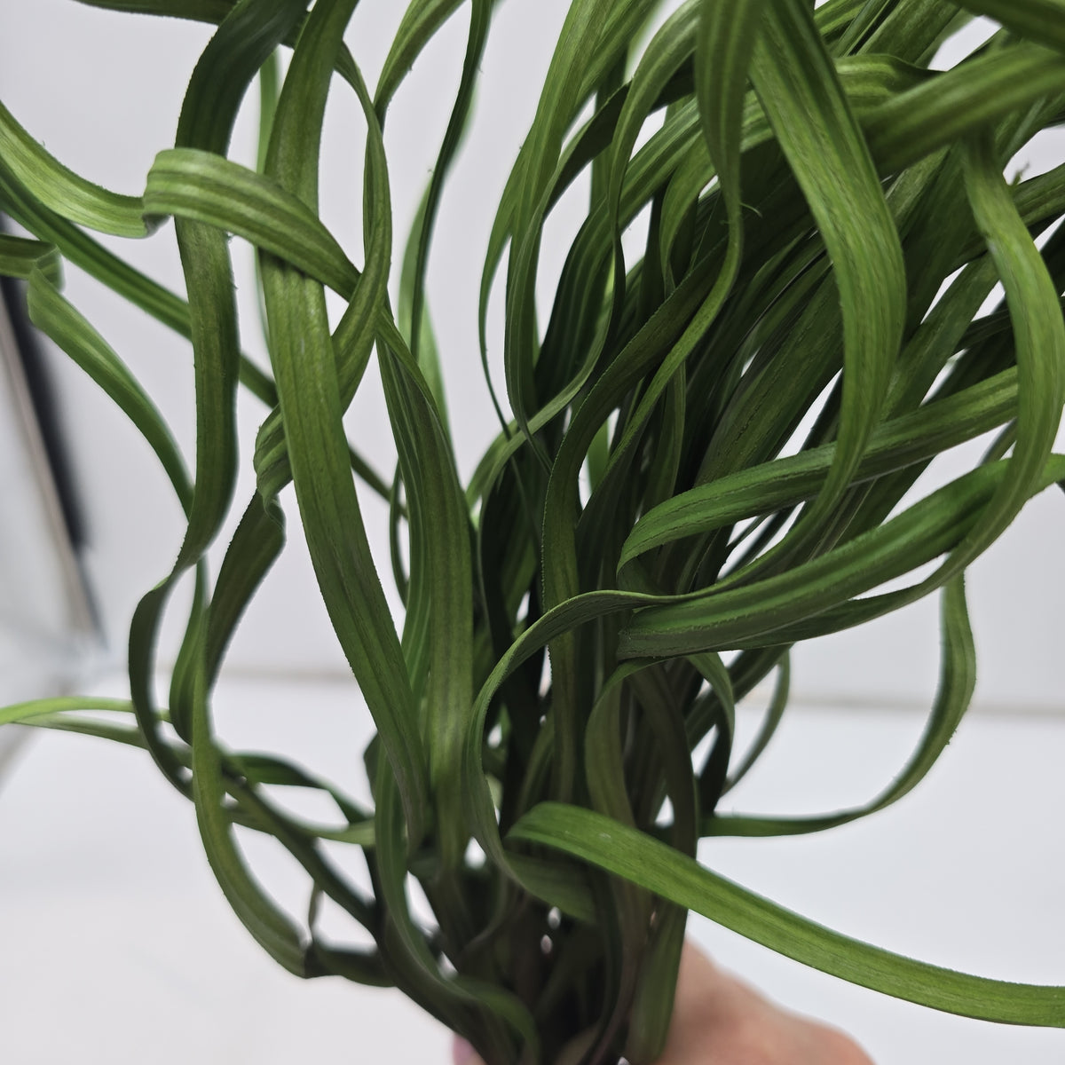 34&quot; Sea Grass--#Pbg034