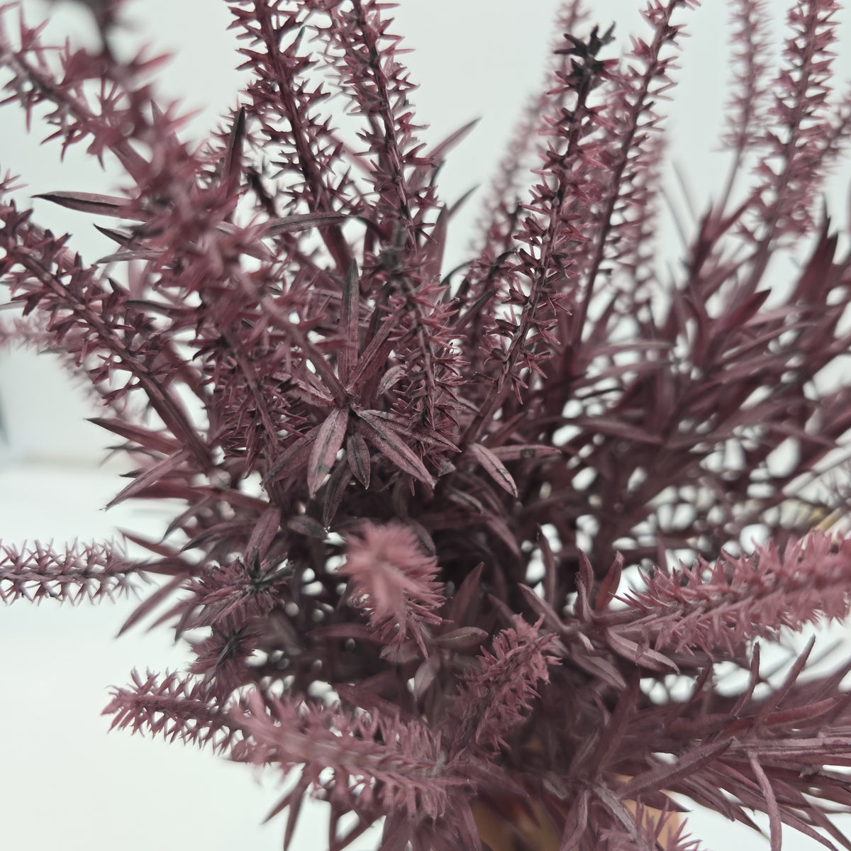 Astilbe Bundle-9&quot; #fbq152