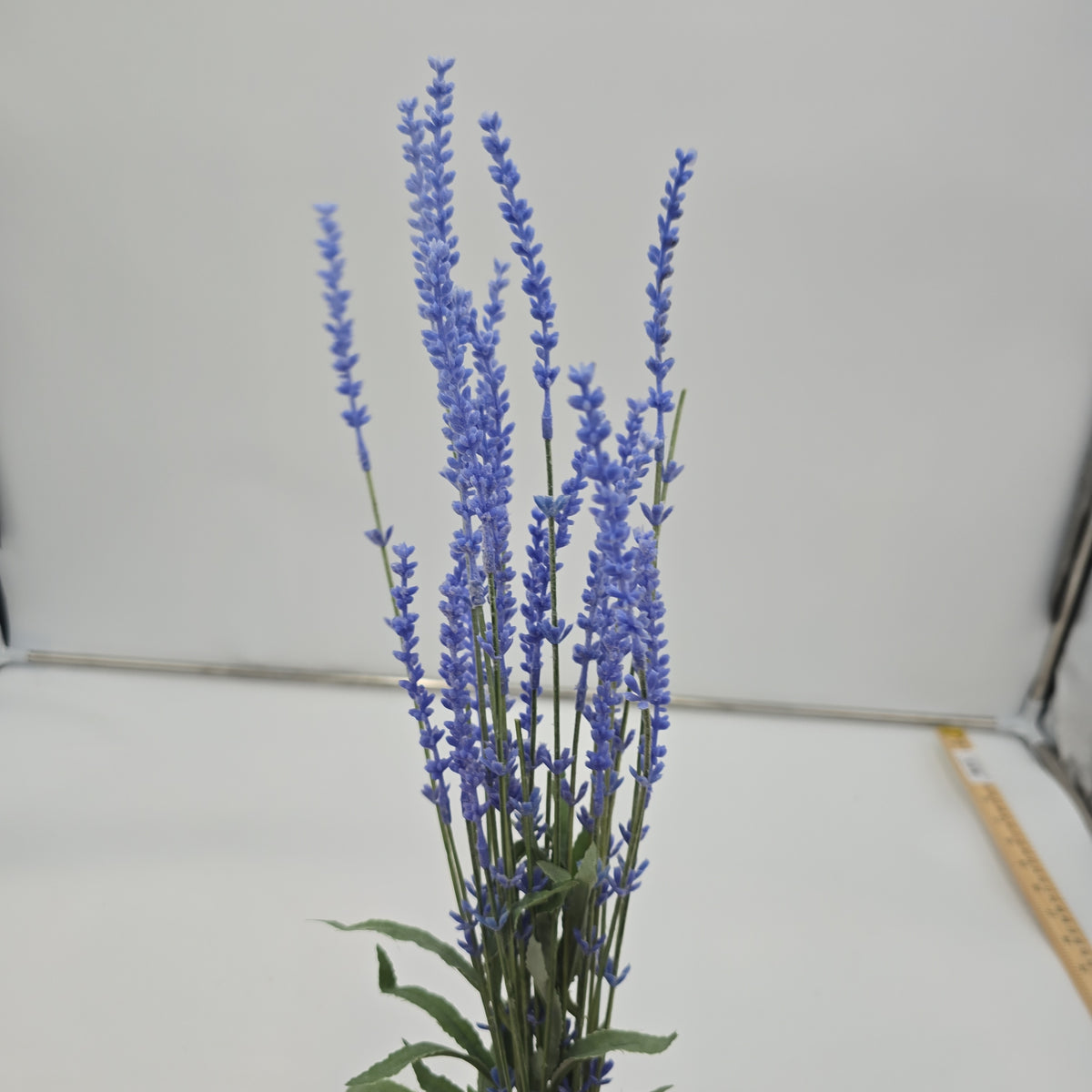 23&quot; Lavender Bush--#fbl135