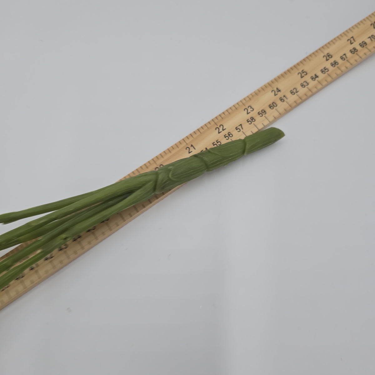 Bells of Ireland Bush--#Fbb414