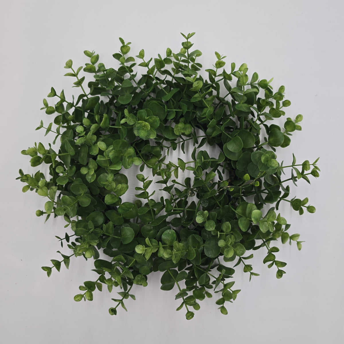 6&quot; eucalyptus wreath--pce387-gr