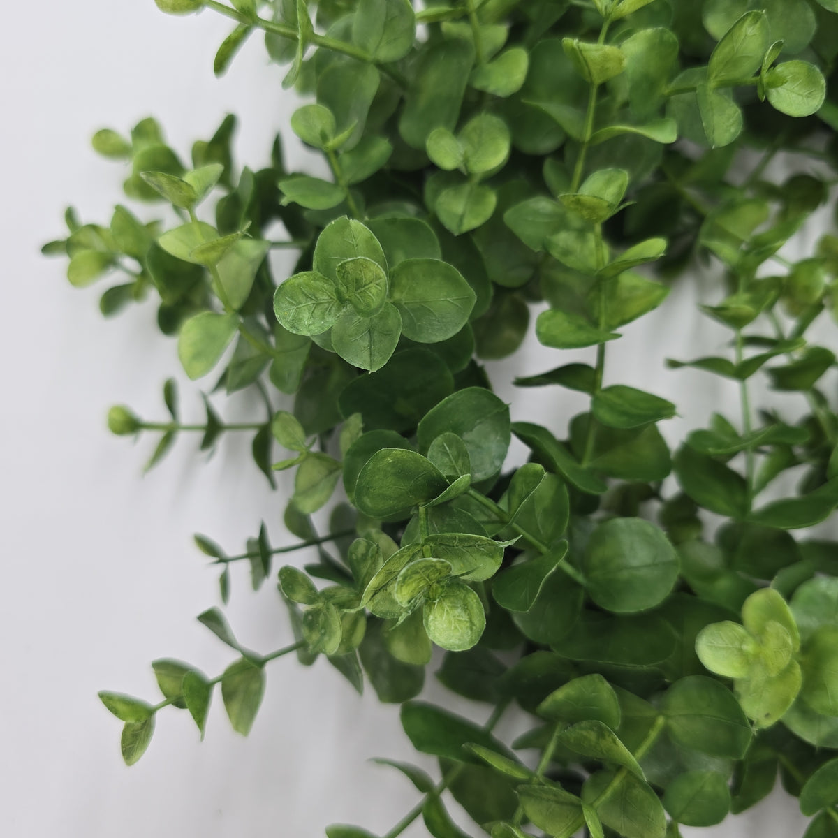 6&quot; eucalyptus wreath--pce387-gr