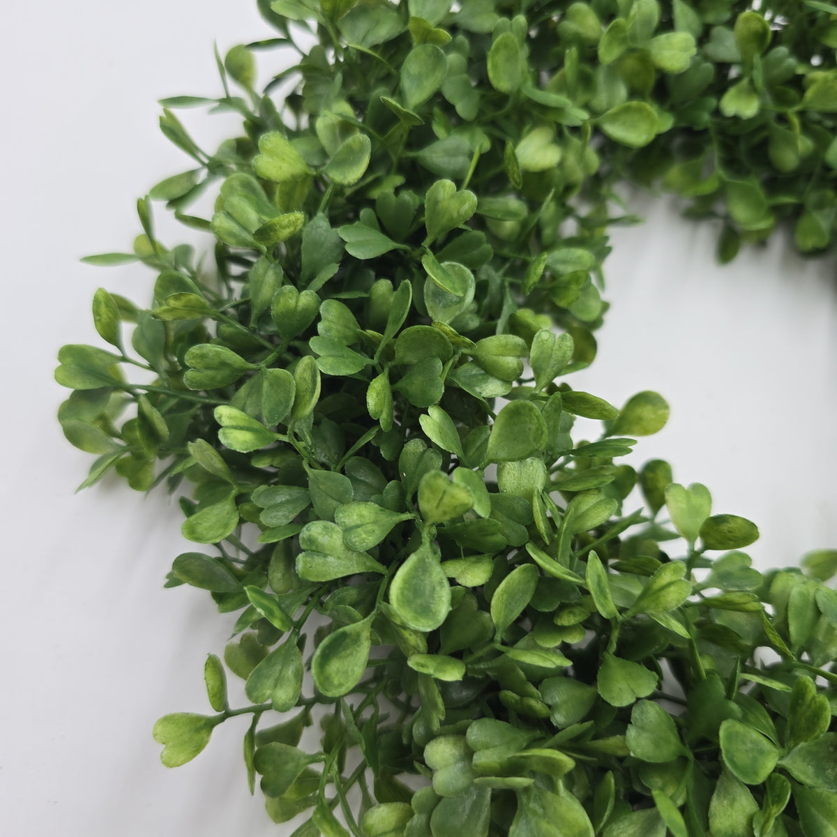 12&quot; Boxwood Wreath