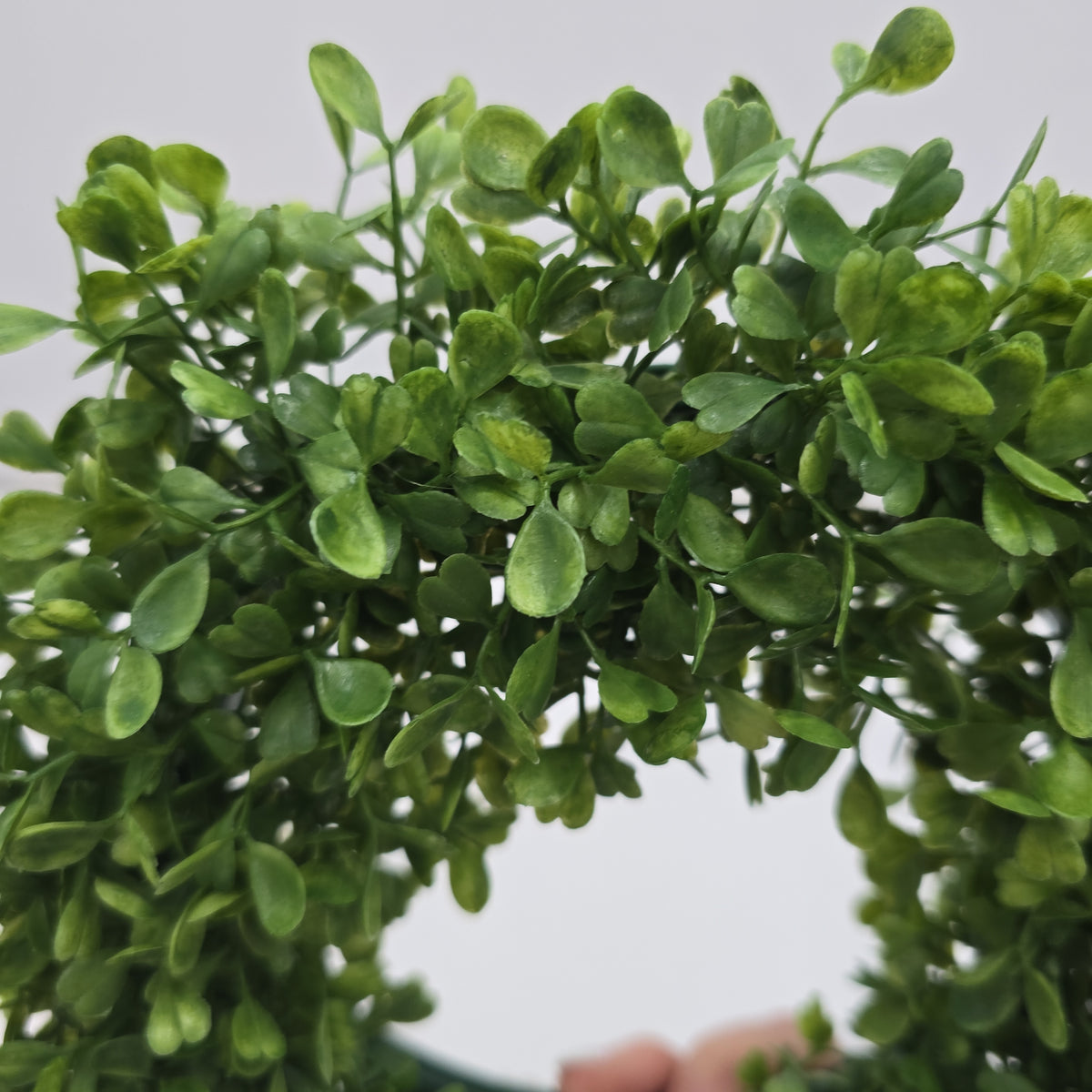 12&quot; Boxwood Wreath