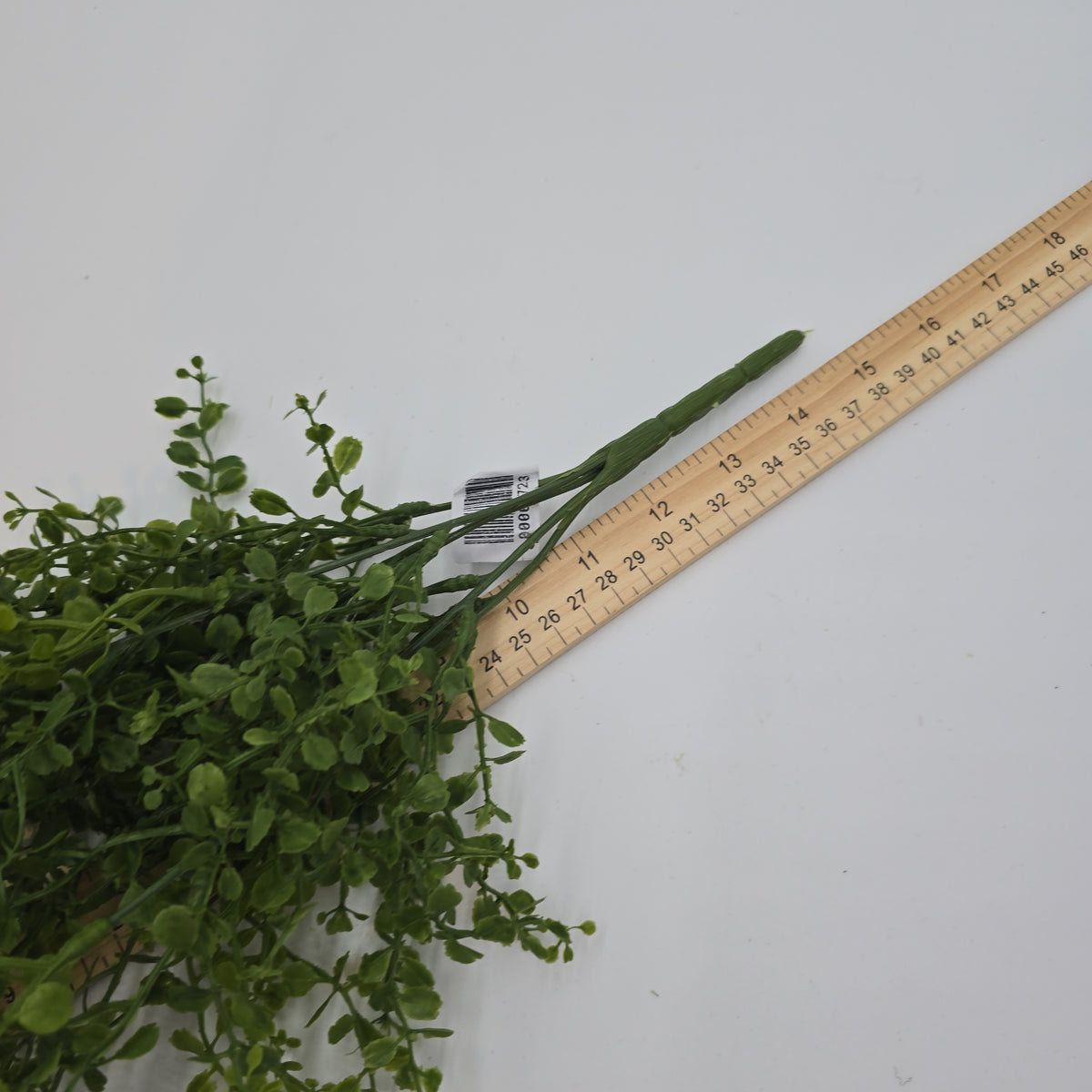 13&quot;Button Fern--pbf328-gr