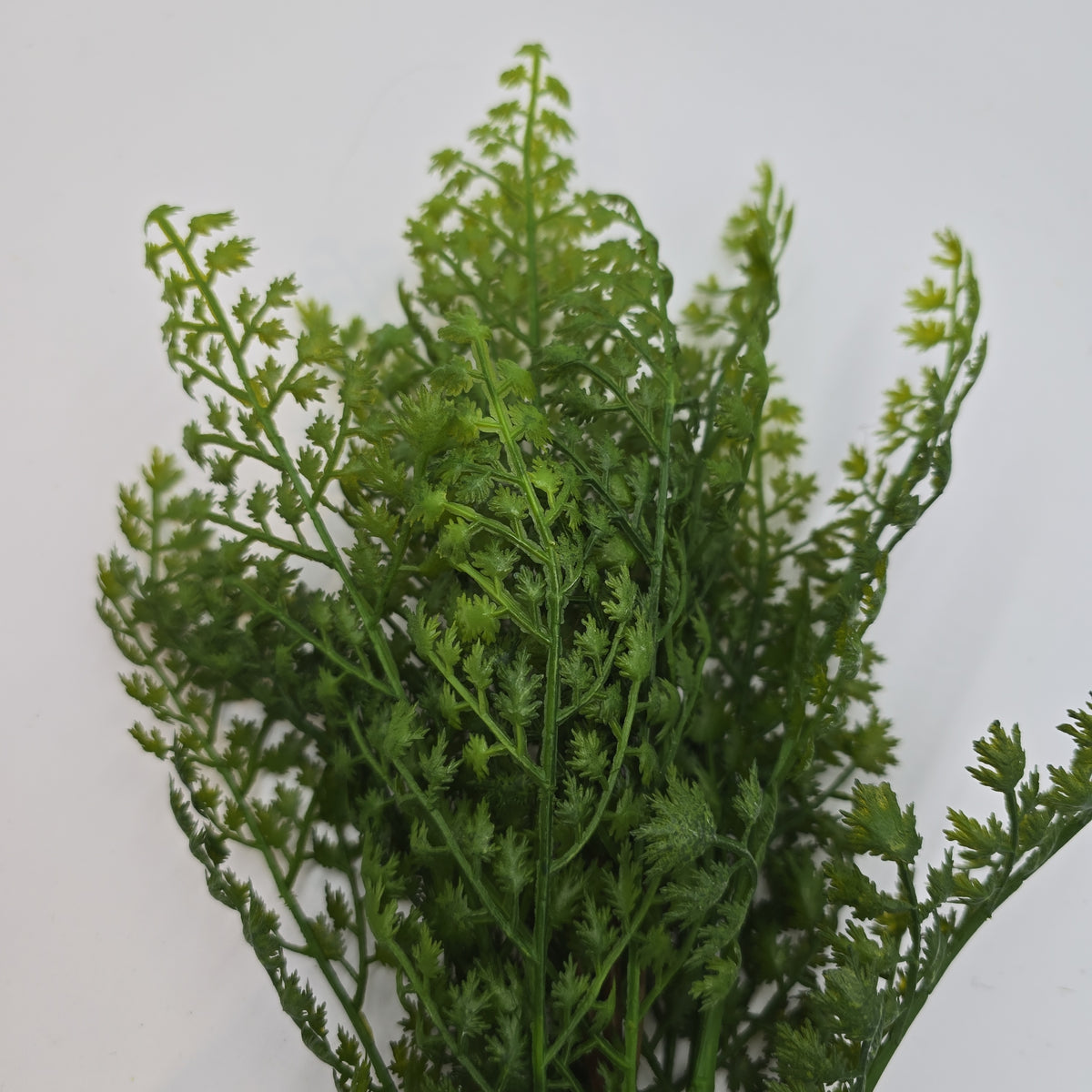 17&quot;FERN--pbf981-gr