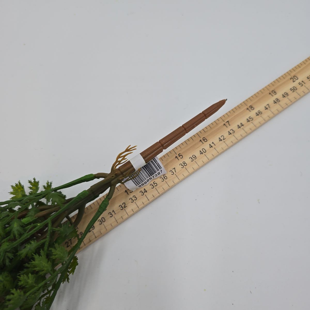 17&quot;FERN--pbf981-gr