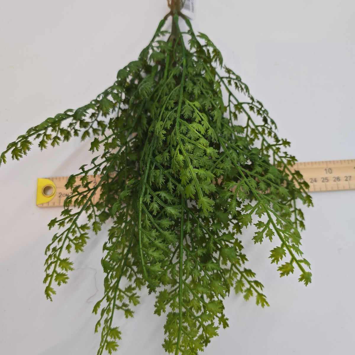 17&quot;FERN--pbf981-gr