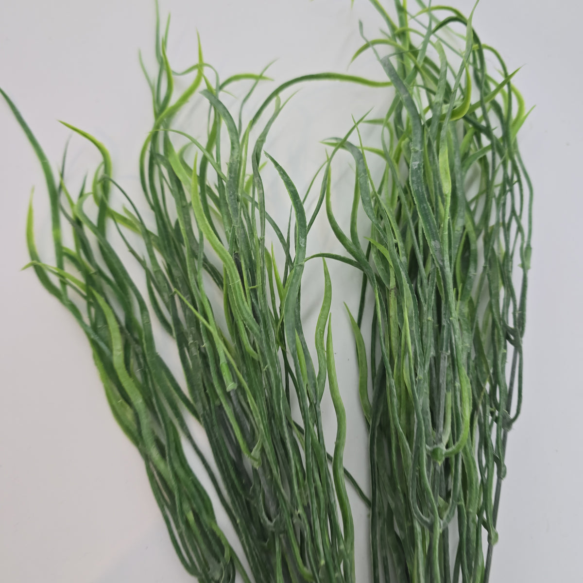 19&quot; Grass Bush--#pbg427