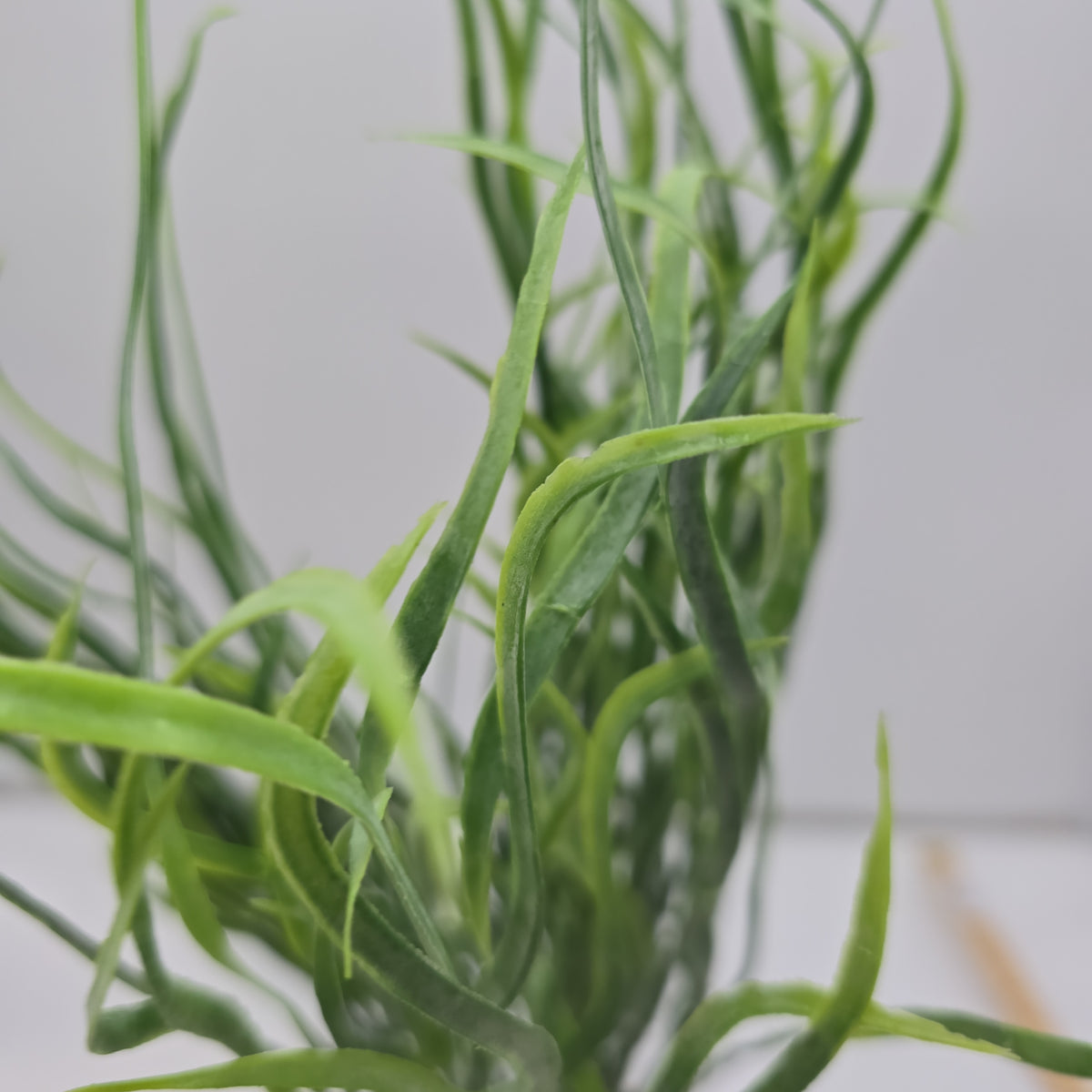 19&quot; Grass Bush--#pbg427