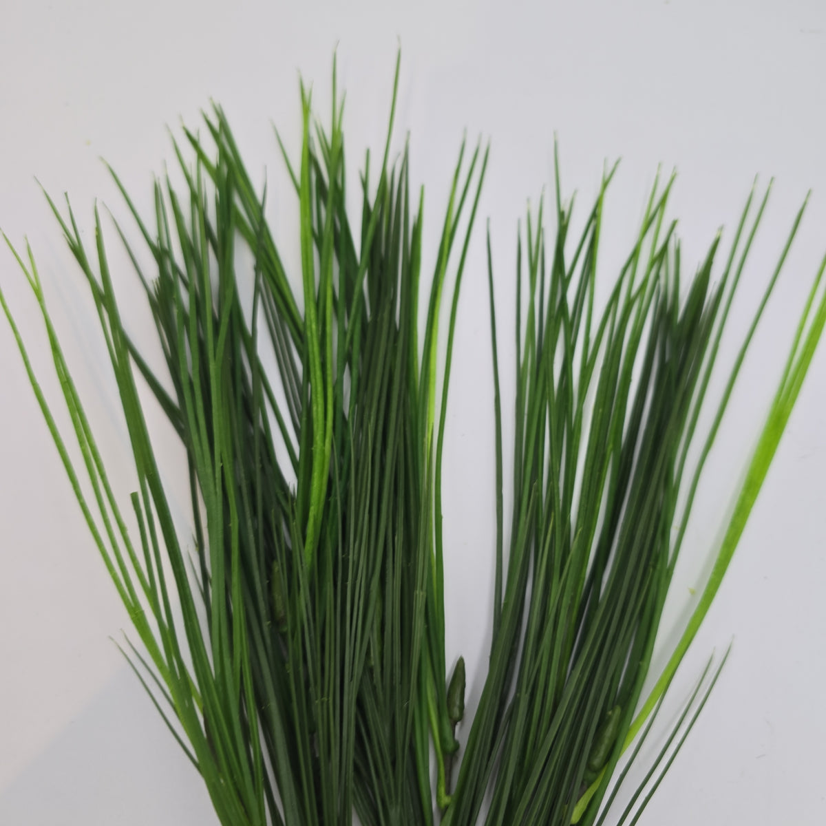 Grass Bush--#Pbg010-gr