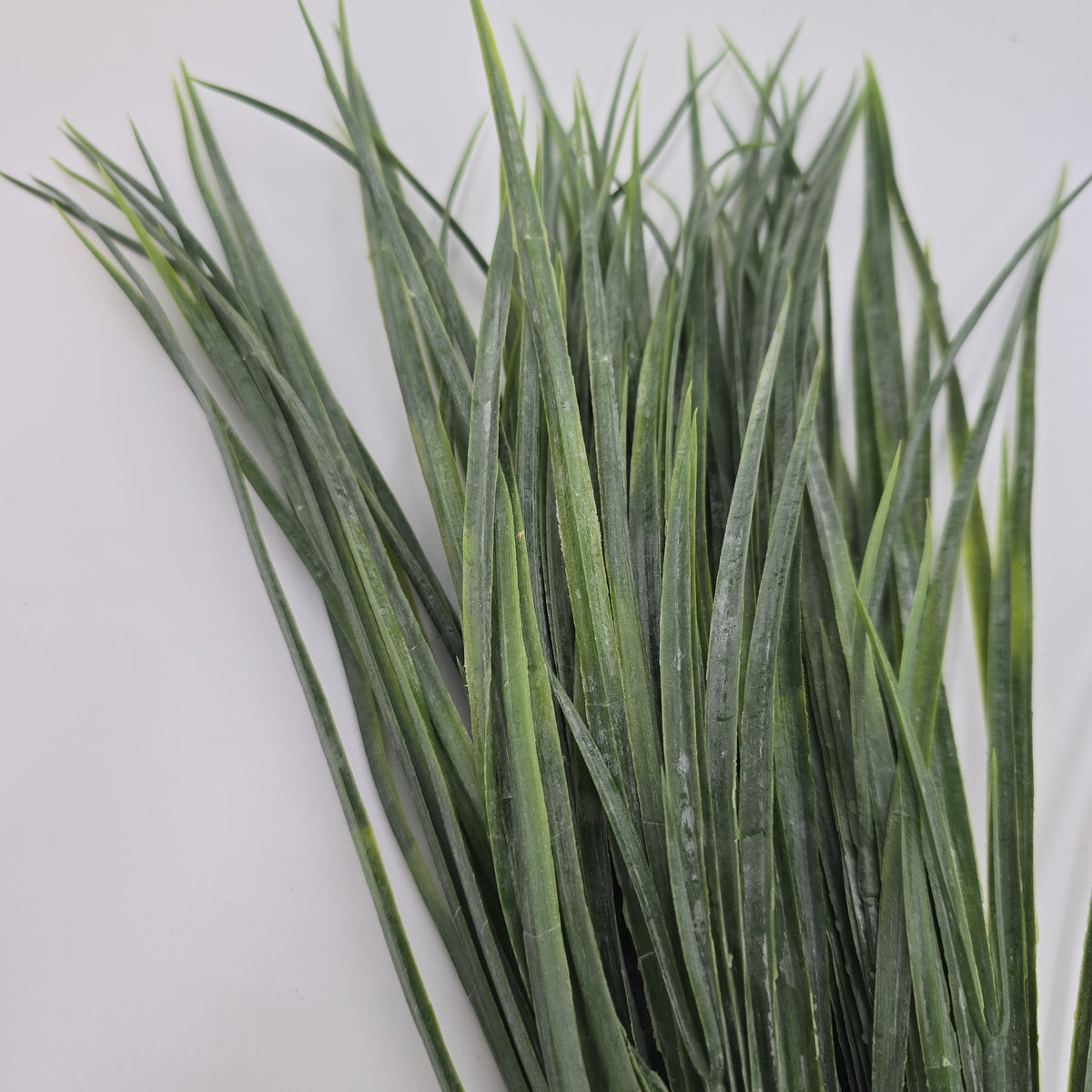 16&quot; Grass Bush--#pbg625