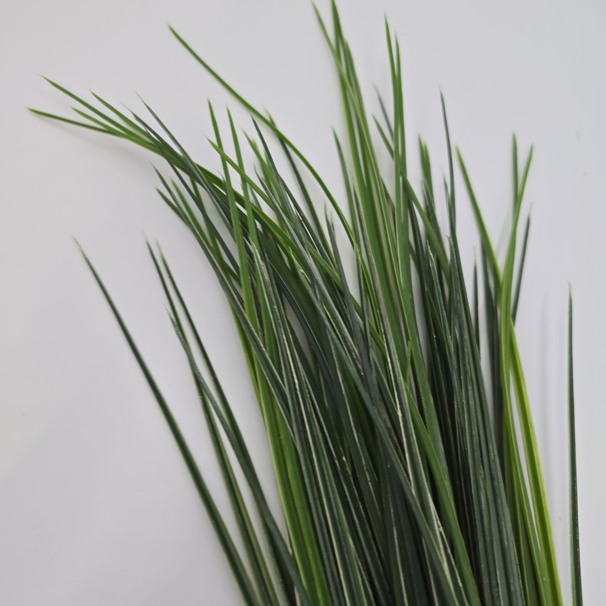 20&quot; Grass Bush--#pbg184