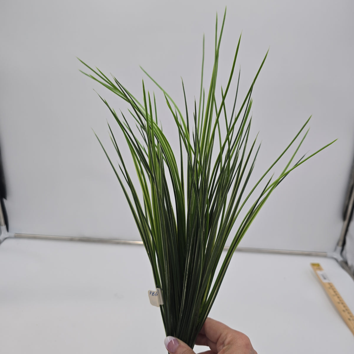 20&quot; Grass Bush--#pbg184