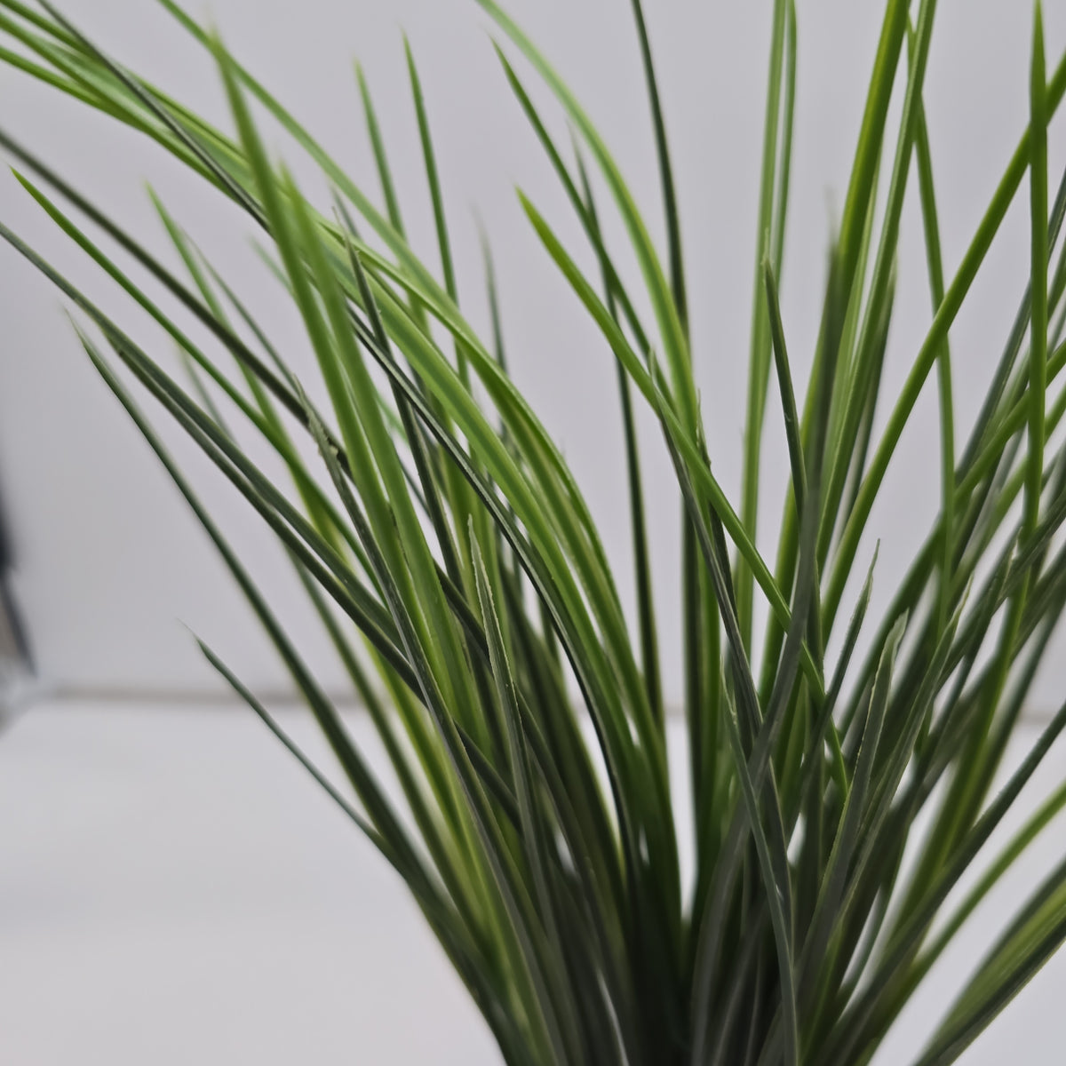 20&quot; Grass Bush--#pbg184