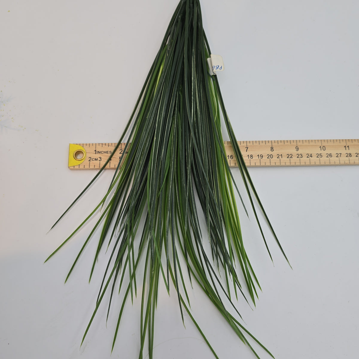 20&quot; Grass Bush--#pbg184