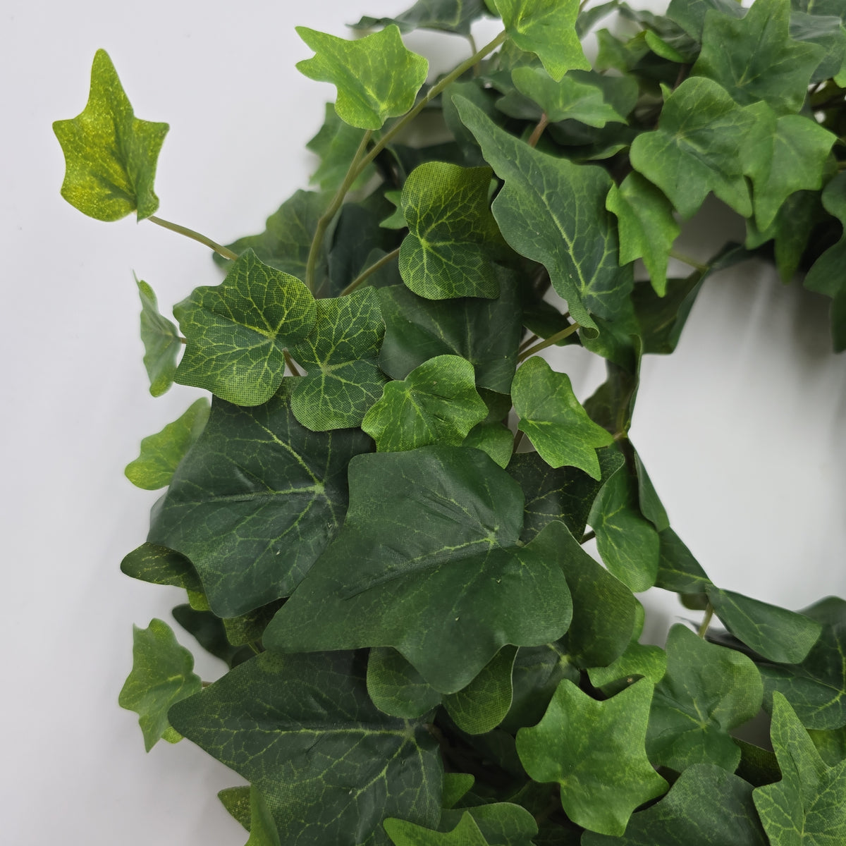 Ivy Wreath--#de246087