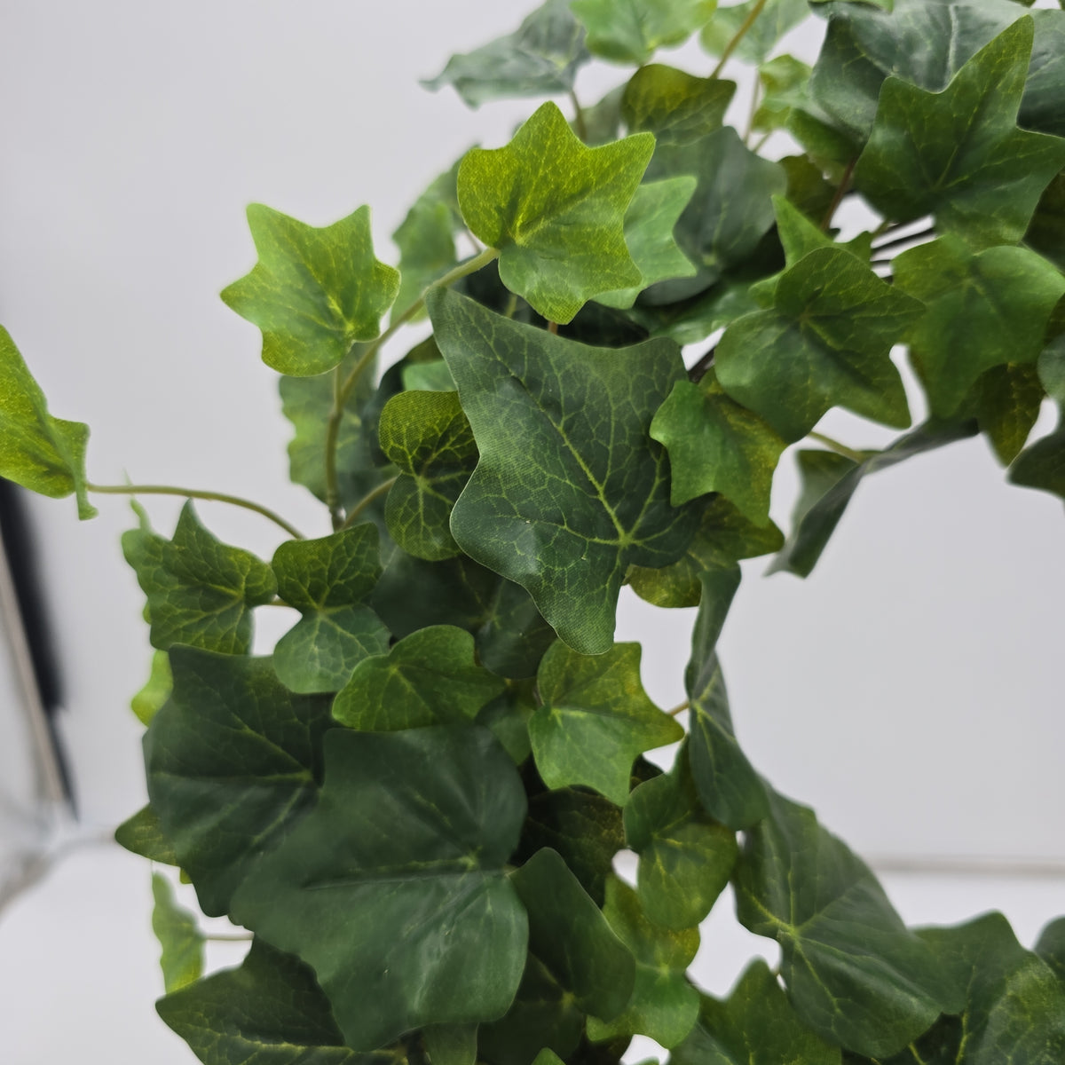 Ivy Wreath--#de246087