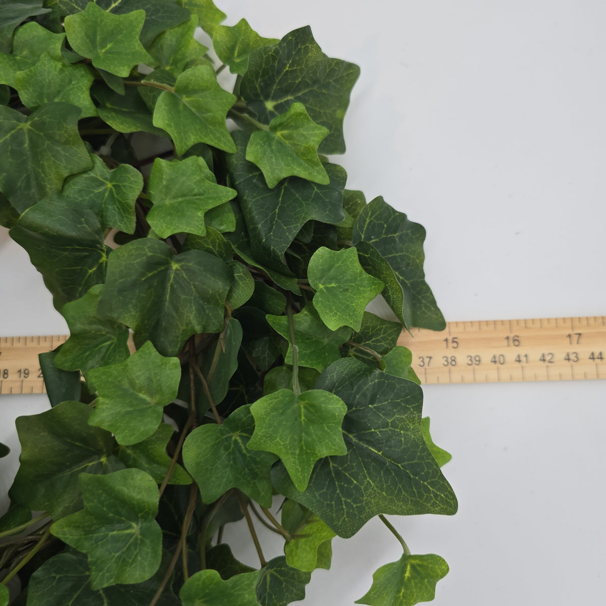 Ivy Wreath--#de246087