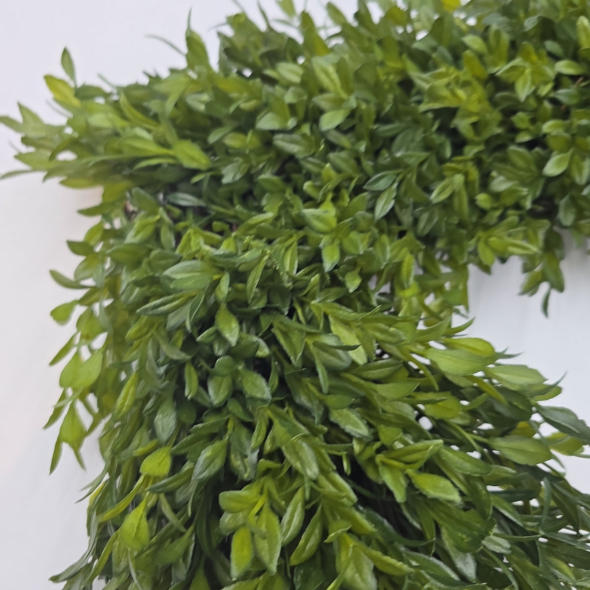 18&quot; Square Bxwood Wrth  #pwl728