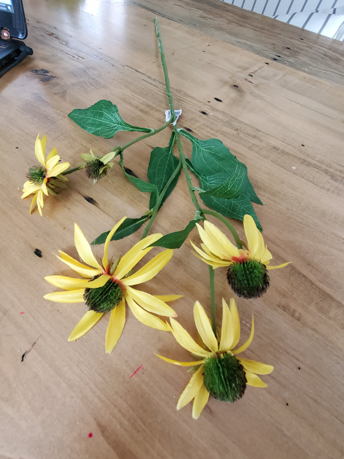29"Echinacea Spray--#fse204