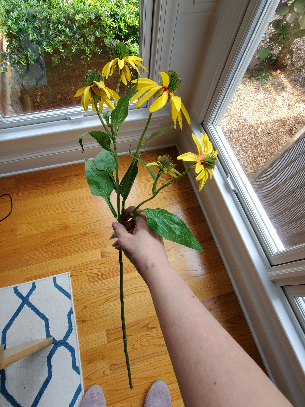 29"Echinacea Spray--#fse204