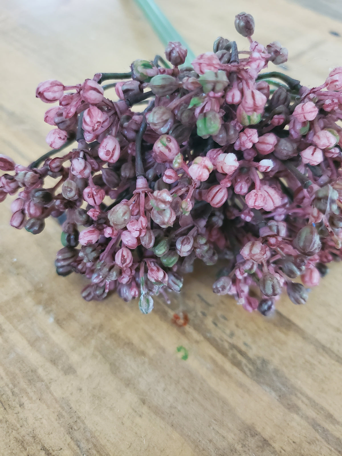 12&quot; Allium stem/Buds--#fsa662